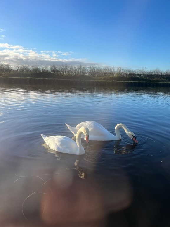 Life afloat a canal boat - Wakefield Recovery and Wellbeing College